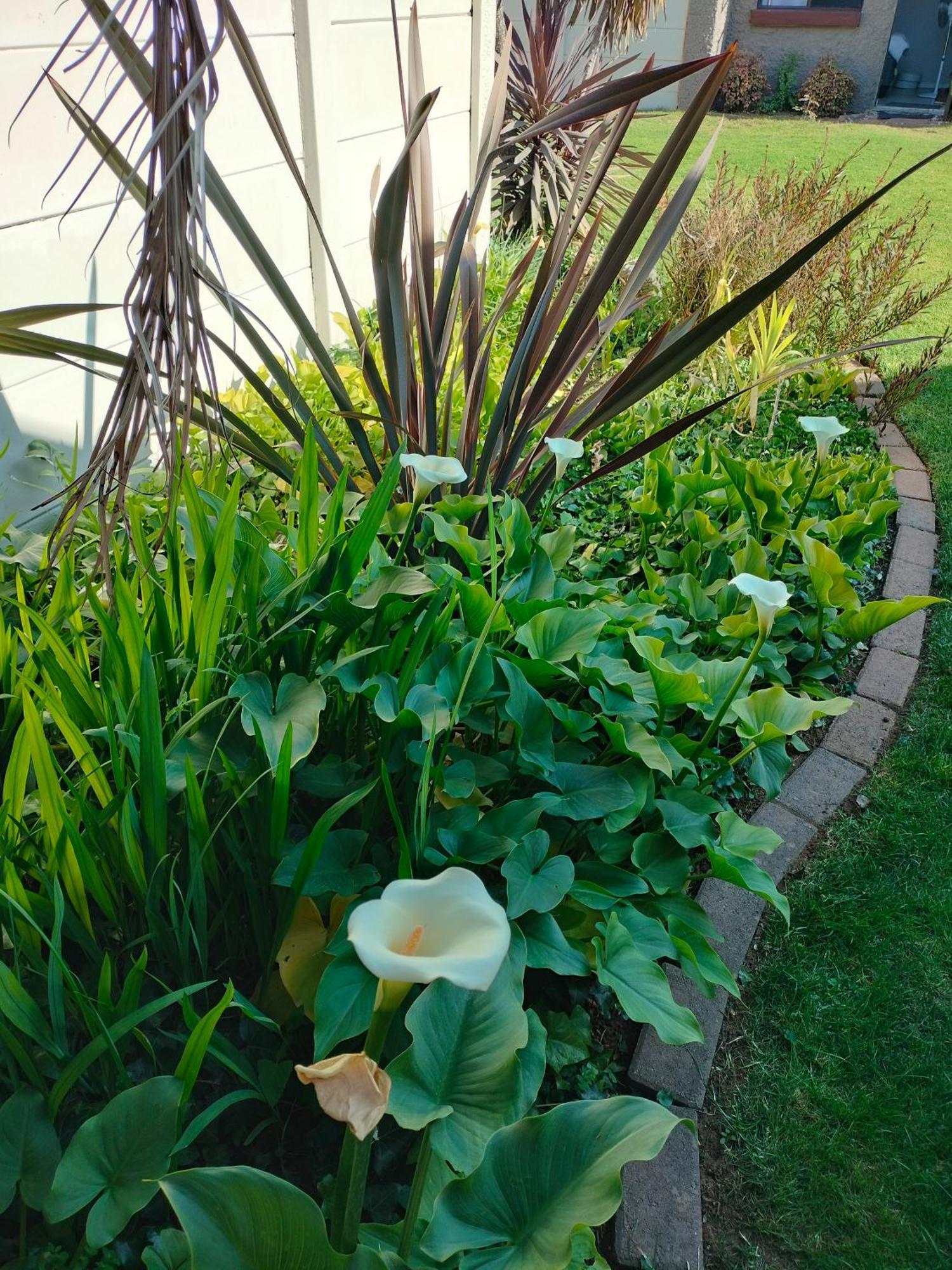 Easy Inn Guesthouse Welkom Luaran gambar